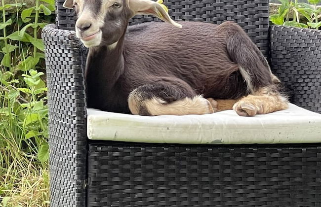 Woodlands Lodge - Come and Enjoy the Good Life - Foto 22