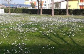 Appartamento Ai Tigli - Foto 19