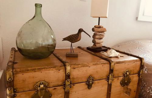 Cocon entre presqu'île du Cap Ferret et plages océanes - terrasse - 1 vélo gratuit - Foto 25