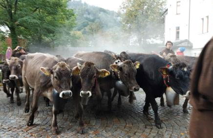 Fewo Gabriela Allgäu - Photo 31