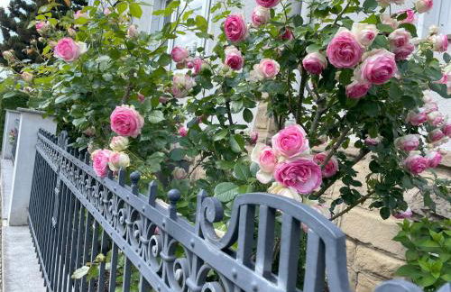 Moderne Ferienwohnung in Bad Salzuflen - Zentrale Lage & Wohlfühlkomfort - Foto 30