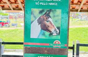 Flat Hotel Fazenda Monte Castelo Gravatá Bezerros - Foto 50