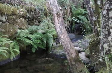 Casa Rural Mirador del Valle - Foto 41