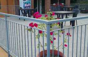 Agriturismo Ca' del Monte - Foto 3