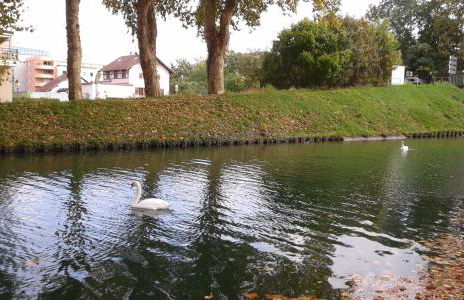 Gîte Des Vergers - Foto 16