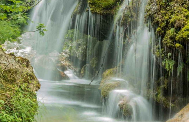 Hair of Venus Waterfalls Excursion - Foto 1