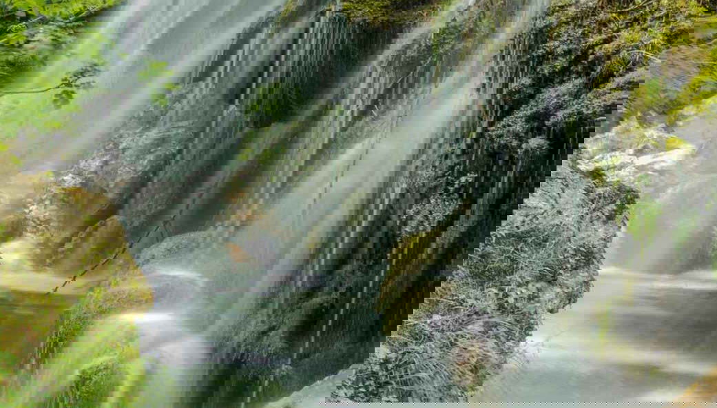 Hair of Venus Waterfalls Excursion - Foto 1