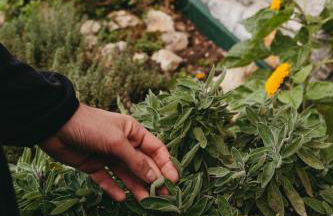 Agriturismo Giacomino - Foto 22