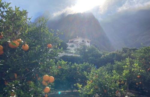 Casa Camino Tamadaba II (bottom home) - Foto 48