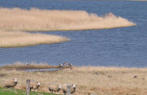 Op Lundingland - Photo 9