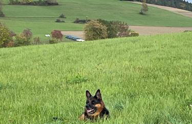 GreenHolidays - Foto 34