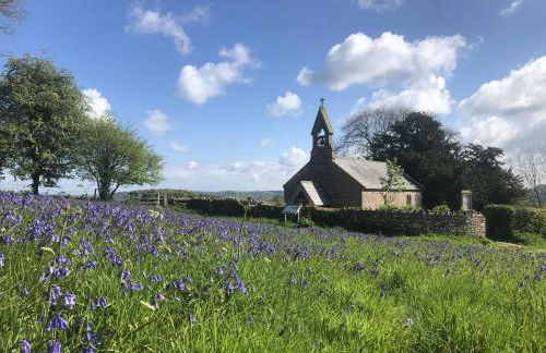 Orchard Cottage Monmouthshire - Foto 13