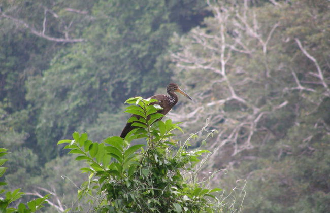 2, 3 or 4-Day Tres Chimbadas Lake Tour - Photo 4