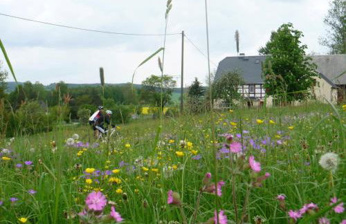 Ferienwohnung Werner - Foto 27