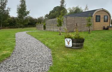 Dwell on the Moor - Foto 3