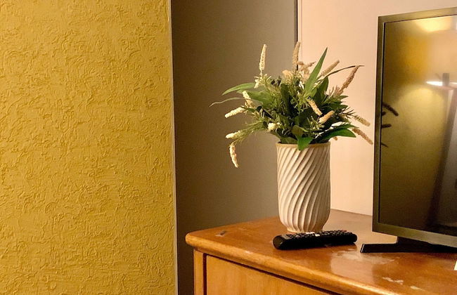 Apartamento Próx Tiete Plaza Shopping - Foto 26