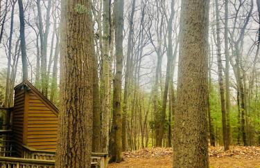 South Village 7 - Foto 7