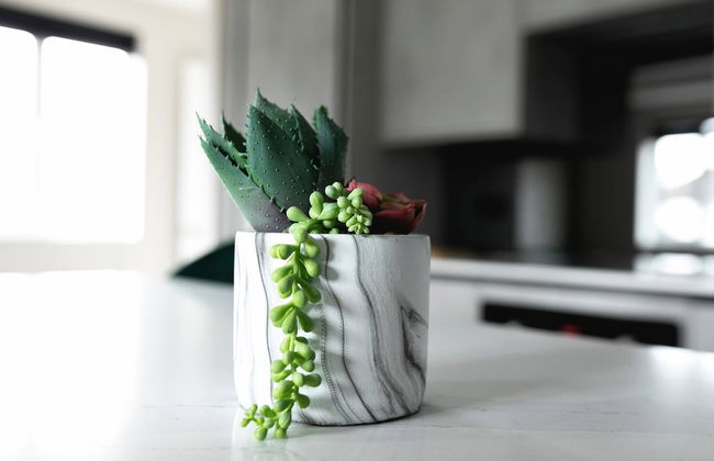 Skyvillion -1bed Cockfosters Near Alexandra Palace - Foto 22