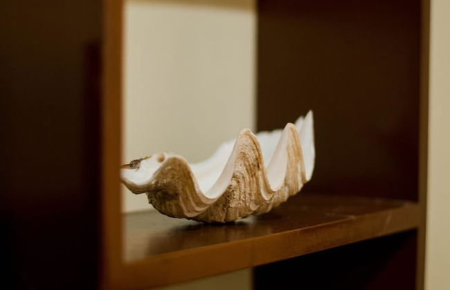 HECASA HOMESTAY - Foto 30