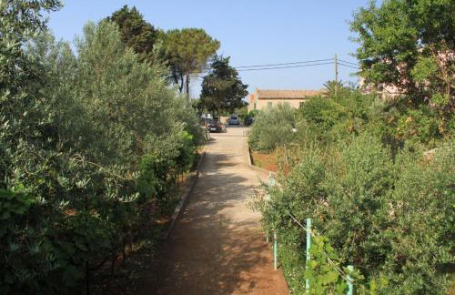 Apartments by the sea Ugljan - 8304 - Foto 9