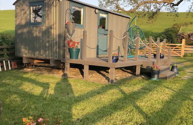The Peacock Shepherds Hut at Hafoty Boeth - Foto 20