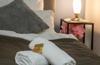 HANNIBAL - Design Apartment Lilie 2, VW Nähe, Parkplatz, Küche, HighSpeed-WLAN, Fitness, Solarium - Foto 5