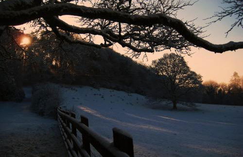 David's Organic Farm Wales - Foto 26