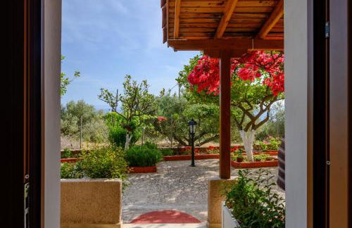 BUENA VISTA studios - Foto 43