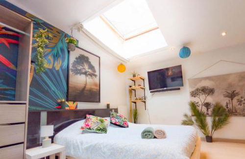 Jungle Studio - 2P à 4P -Henriville - Foto 1