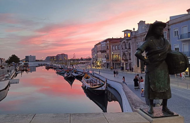 Aveiro Bike Tour - Photo 7