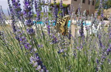 Villa Bella Costa - Foto 7