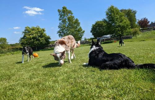 The Coach House, Yealand Redmayne perfect for a family in a rural setting, bring your dogs and horse - Photo 24