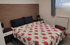 Bel appartement F2 entièrement rénové - Foto 3