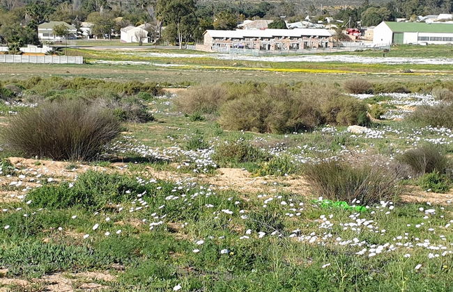 Clanwilliam Accommodation - Foto 43