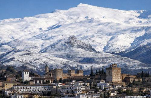 Espacio Lirola Art & Living - Foto 5