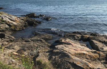 Loira ático con vistas al mar - Foto 43