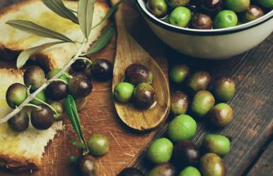 Umbria Valnerina in Noble Residence near Spoleto Apartment x 4-6 persons - Foto 33