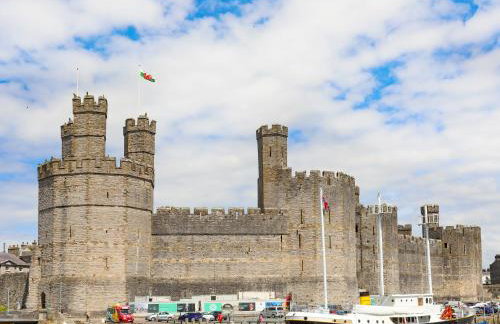 Tyddyn Parthle Pod 1 - Foto 26