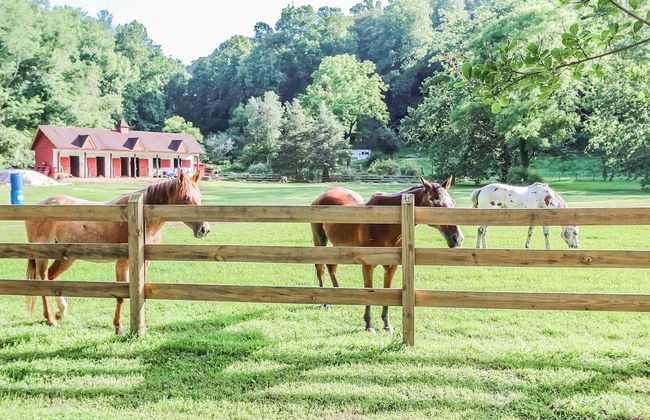 Alpine Crest Resort - Photo 24