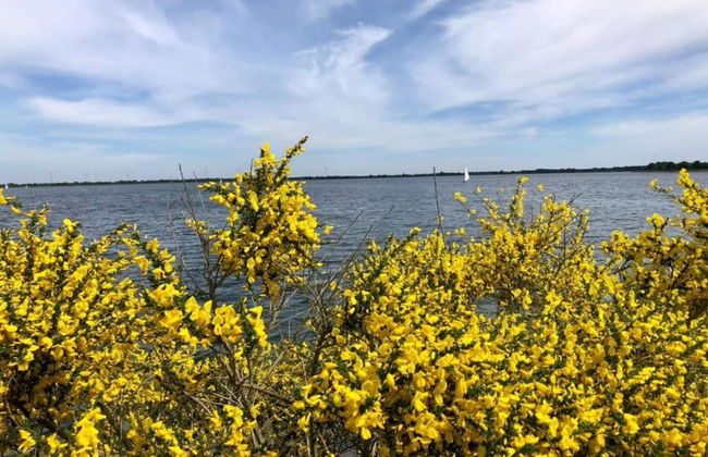 Luxury Villa in Typical Style with Washer near Bad Bentheim - Photo 35