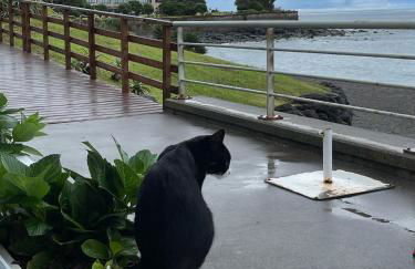 Casa da Adega - Photo 42