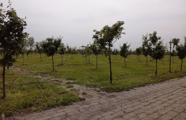 Salas Farma 47 - Photo 40