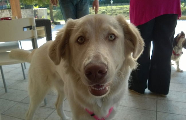 Agriturismo Terra e Lago d'Iseo - Foto 27