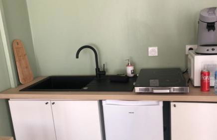 Studio refait à neuf avec jardin Aigues Mortes - Foto 6