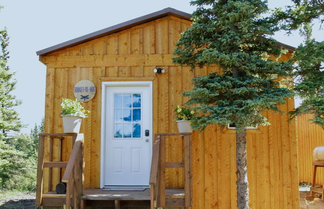 Arctic Dragonfly Inn - Foto 4