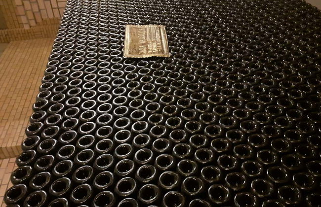 Tour delle cantine della Vale dos Vinhedos - Foto 1