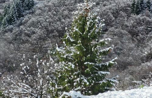 Antiche atmosfere... - Foto 39