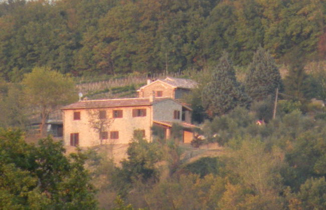 Panoramic Farmhouse With Swimming Pool - Monticello - Photo 9