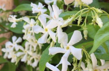 Charmant rez de villa en provence - Foto 33