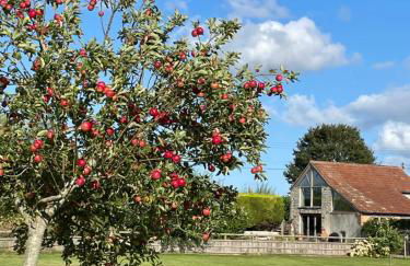 The Hayloft at Stathe Farm - Foto 1
